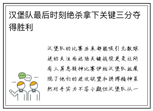 汉堡队最后时刻绝杀拿下关键三分夺得胜利