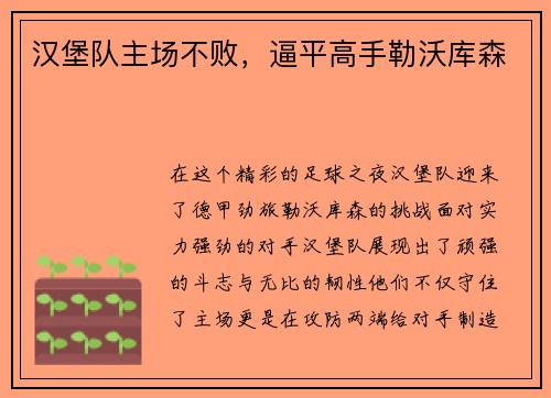 汉堡队主场不败，逼平高手勒沃库森