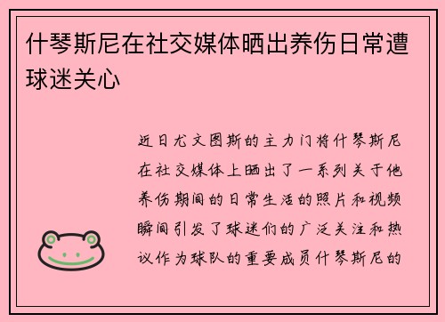 什琴斯尼在社交媒体晒出养伤日常遭球迷关心
