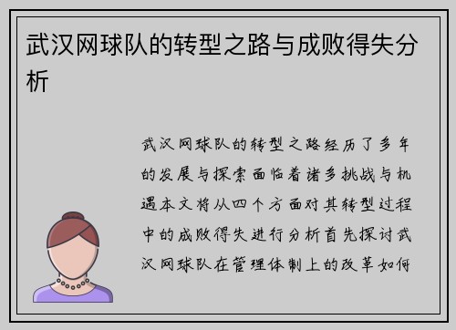 武汉网球队的转型之路与成败得失分析
