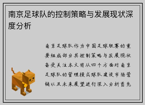 南京足球队的控制策略与发展现状深度分析